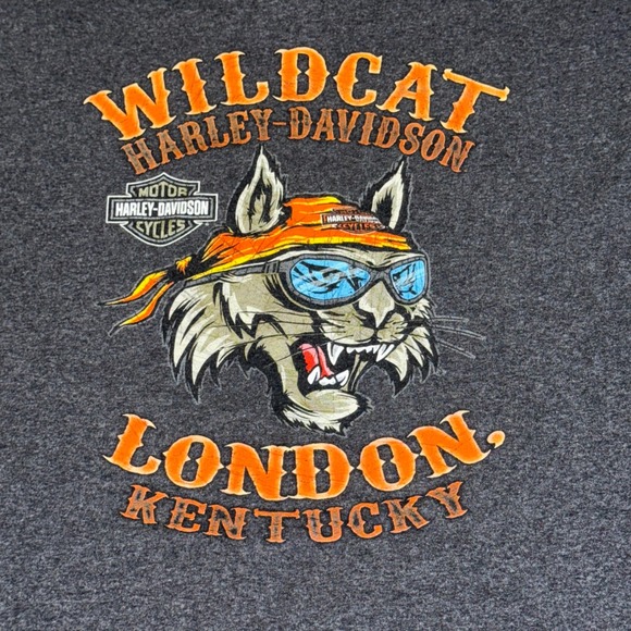 Harley-Davidson Other - Harley-Davidson Wildcat London Kentucky Graphic T-Shirt Gray XL Biker Casual